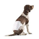Amazon Basics Hundewindel für Rüden, Einwegwindeln, Größe L, Weiß, 30 Stück