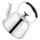 HEALLILY Wasserkocher aus Edelstahl mit Sieb, Teekanne für effizientes Kochen, hitzebeständiger Griff, elegantes Design für Zuhause und Küche