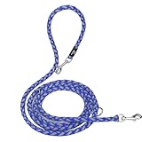 TAVADA Hundeleine mit reflektierenden Streifen - Führleine für Hunde - Nylon Doppelleine mit 2 Karabiner - 2,5m verstellbar für kleine mittelgroße Hunde (Blau)