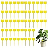 Gartenpflanzetiketten, Pflanzenetiketten -Tags | 100-mal wasserdichte Sämlingsmarkerzeichen T-Typ-Kindergarten,Beschreibbare Garteneinsätze, Pflanzenschilds für Gewächshäuser, Rasen, Terrasse, Gartenp