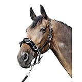 HKM SPORTS EQUIPMENT Kappzaum aus Nylon mit Plüschpolsterung, schwarz, Vollblut Ausfallschritt-1167