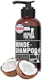 Jack & the Tub Hundeshampoo 500ml Caribbean Breeze - Black Edition, Hunde Shampoo mit Conditioner und frischem Kokos Duft