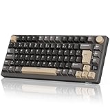 RK ROYAL KLUDGE M75 Gaming Tastatur kabellos 75% Prozent TKL Mechanische Tastatur RGB 2,4 GHz Wireless/Bluetooth/USB-C QWERTZ mit OLED-Smart-Display und Knopf Hot Swappable Roter Schalter, Grau