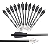 NIKA ARCHERY 6,3' Aluminium Armbrust Bolzen Pfeile mit Jagdspitze für 50-80 LB Pistole Armbrust Präzisionsziel Aluminiumpfeile Armbrustpfeile Pistolenarmbrust bolzen 6/12 STK