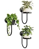 Bamworld Blumenständer Wandmontage 3er Set – U-Form Pflanzenregal aus Metall für Wohnzimmer & Balkon, Hängender Wand Blumentopfhalter, Schwarz