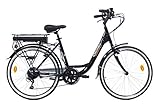 Denver Discovery E4000 E-Bike, City Bike mit 26 Zoll Rädern, Shimano 6-Gang-Schaltung für Damen, Schwarz
