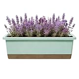 Selbstbewässerungstöpfe Für Zimmerpflanzen,Stecklingsbehälter | mit Wasserstandsanzeiger, Untersetzer, Ablaufloch & Bewässerungsschnur - Für Gemüse Erdbeeren Stecklinge Garten Innen- Und Außenbereich