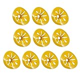 Wespenfalle – Fliegenfalle in Form von 10 Stück | Bienenfänger ohne Fliegen | Wespenfänger wiederverwendbar | Bienenfalle | nachhaltiges Hornet für den Innenbereich, Pa