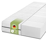 DREAMSTAR Kaltschaummatratze Vital Silber XXL 24 cm hoch| Ergonomische 7-Zonen Matratze aus Kaltschaum |Härtegrad 3 (H3) Öko-Tex Zertifiziert | Hypoallergen & Antibakteriell | 80 x 200 cm