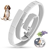 Zeckenhalsband für Hunde 69cm, Wasserdicht & Verstellbar Zeckenschutz Hund Verhindert Leishmaniose-Übertragung, 8 Monate Schutz Grau