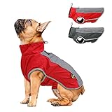 AXSPEED Hundebekleidung für Herbst und Winter, warm, gepolstert, wasserdichte Jacke (rot, M)