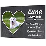 Personalisierte Grabplatte Haustier aus Alu-Verbund – Foto in Herz/Kreis/Rechteck, Name • Datum • Spruch – wetterfest & UV-beständig – Größen DIN A6 bis DIN A2 – Grabschmuck für Hund/Katze