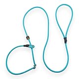 Romneys Moxonleine Biothane Neon Pro – Wasserfeste Hundeleine für Training, Jagd & Spaziergänge, Wetterfest & Robust, Einstellbare Länge, Neonfarbe (Neon-Aqua)