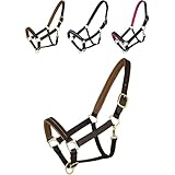 Marengos - Halfter Diamond aus Leder | Halfter für Pferde | Pferdehalfter mit farbig unterlegtem Nasenriemen & Genickstück | edles Lederhalfter | Pferde Zubehör in Braun/Gold | Warmblut