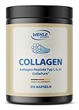 Kollagen Kapseln hochdosiert - 315 Stück - 4550mg Collagen Hydrolysat Peptide pro Tagesdosis - Made in Germany Collagen Kapseln Typ 1, 2 & 3 - Wehle Sports - Verpackung kann variieren