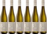Bollig & Bollig GbR Riesling Mineralschiefer 2024 Trocken (6 x 0.75 l)
