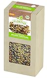 FLORTUS BIO Keimsprossen Helden-Mischung (Bockshornklee, Linsen und Rettich) | Gesunde & leckere Keimsprossen | Sprossensaat | Keimsprossen | Keimsaaten