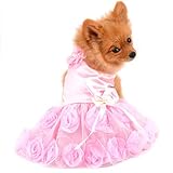 PAIDEFUL Haustierkleid für Kleine Hunde Katzen Mädchen Sommer Luxus Welpen Hochzeitskleid Rose Blume Spitze Tutu Rock Seidig Bowknot Geburtstags Party Kleid Hundekleid Chihuahua Kleidung Pink XL