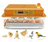 Hethya Inkubator Ei Brutautomat Vollautomatisch Brutmaschine Hühnerbrutkasten Heimbrutkasten Huhn Bauernhof Eierbrutkasten 16 Eier Inkubatoren