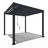 WEIDE - Classic Terrassenüberdachung freistehend mit einstellbarem Stahl-Lamellendach I Pfosten aus Voll-Aluminium I Robustes Terassenüberdach I wasserdicht (Anthrazit, 3 x 3 M)