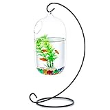 Glas Hängen Fisch Schüssel Tank Beta Wand Tank Mit Ständer Fish Homes Kreative Vase Aquarium Für Hausgarten Schreibtisch Betta Fish Moss