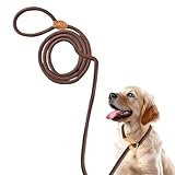 Retrieverleine mit Zugstopp,180 cm Lang,1,4 cm Breit,Hundeleine und Halsband in Einem,Einstellbar Leine Hund mit Reflektierenden Nähten, Zugstopp Halsband Hunde für Hunde Aller Größen (Kaffebraun-V)