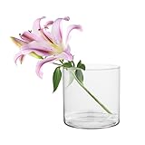TREND FOR HOME Deko-Glasbehälter 19 cm Zylinder Vase Blumenvase Kerzenständer Stumpenkerzen Kerzenhalter Glasvase Bodenvase Groß Deko Hochzeit Transparent | Ø 19 cm | 4848 ml | Naida