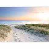 murando - Vlies Fototapete Meer Strand 300x210 cm - Vlies Tapete - Moderne Wanddeko - Design Tapete - Wandtapete - Wand Dekoration – Sand See Himmel Sonnenuntergang Weg Natur Landschaft c-A-0043-a-a