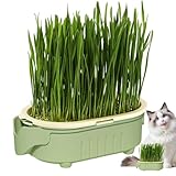 Katzengras-Pflanzkasten – Indoor-Katzengras Hydrokultur-Pflanztopf, bodenlose Bewässerung, hohler Behälter für Haustier-Snacks für Innenhof, Fensterbank