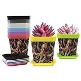 8er Set Pflanzgefäße aus Kunststoff mit Drainagelöchern und Untersetzern, Kunststoff-Blumentöpfe, Kindergarten Pflanztopf für Innen- und Außenbereiche (Retro Octopus)