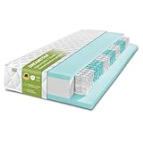 DREAMSTAR Ergo Flex XXL Duo Taschenfederkernmatratze 100x200cm | ergonomische 7-Zonen Matratze | Öko-TEX® | H2 (0-80kg) & H3 (80-100kg) | Hypoallergen & Antibakteriell | 22 cm hoch 100 x 200 cm