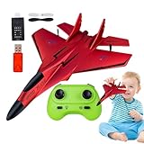 Kämpfer-Modellspielzeug, RC-Flugzeugspielzeug | 2,4 GHz RC Kampfflugzeug Spielzeug Modell Spielzeug,Zurückziehbares Schaumstoff-Flugzeugspielzeug, Flugzeugmodell mit Licht für Anfänger und Kinder
