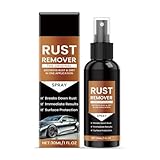 Rostentferner-Spray, leistungsstarker Metallreiniger für Rostbehandlungen, Mehrzweck-Anti-Rost-Inhibitor, Entrosting-Spray, Autowartung, Reinigung, Rostlöser, 1 Stück