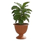 botle Blumentopf auf einem Stiel Ø 36 cm Farbe Terrakotta Rund matt gerillte Streifen Grabvasen Grabschale Dekorationen mit lebenden und künstlichen Blumen