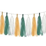 20 Stücke Papier Tassel Girlande Quaste Papier Girlande Rosa DIY Fransengirlande Gold Fransengirlande Hot Pink Seidenpapier Quasten Banner für Hochzeit Geburtstag Valentinstag DIY Hängedekoration