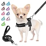 Eyein Hundegeschirr mit Leine für mittelgroße Kleine Hunde, Weich gepolsterter No-Pull Brustgeschirr mit 2 Leinenclips, Leichtgewicht Reflektierend Geschirr Hals und Brust verstellbar (Schwarz, S)