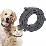 Flohhalsband für Katzen,Flohhalsband Hunde Klein,Zecken Flohschutz Halsband,Floh Zeckenhalsband für Hunde und Katzen,Wasserdicht und Verstellbar