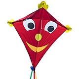 CIM Großer Kinder-Drachen - SUPER Drachen Happy Eddy XL - Einleiner Flugdrachen für Kinder ab 6 Jahren - 102x108cm - inklusiv Drachenschnur und Streifenschwänze