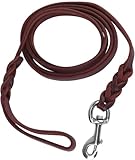 CYSFETENA 1.6m Fettlederleine Hund,Dunkelbraun Rindsleder Lederleine Hund Große Hunde,Geflochtenen Design Hundeleine Leder für Hunde Gehen Training Outdoor Aktivitäten Mittelgroße