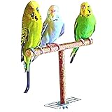 Vogelgaleria® Anflughilfe/Anflugstange für den Vogelkäfig oder die Voliere. Tolles, handgemachtes Vogelzubehör aus bestem Naturholz
