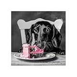 STYLER Küchenbild Dackel 30 x 30 cm I TIERISCH HUMORVOLL I Glasbild mit Dackel und Torte I Bild für Küche & Wohnzimmer I Deko Wandbild modern I Tierbilder Set