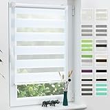 Grandekor Doppelrollo Klemmfix ohne Bohren Weiß 40x130cm(Stoffbreite 36cm) Fenster Rollos für innen Klemmrollos Duo Rollos für Fenster ohne Bohren mit Bohren Privatschutz UV-Schutz Zebrarollo