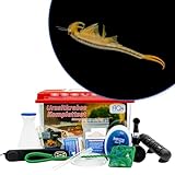 AQ4Aquaristik Premium Mongolische Feenkrebse Komplett-Set mit Urzeitkrebse Eiern, 6 l Becken, LED-Beleuchtung, Zuchtansatz, Heizung, Filter, Luftpumpe, Kescher, Futter, Zubehör, Anleitung