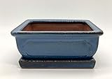 Bonsai Schale mit Untersetzer Blau aus Keramik Glasiert Rechteckig L: 16 cm x B: 13 cm x H: 6,5 cm - Bonsaischale - Bonsai Pot - Indoor/Outdoor