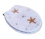 Transparenter Toilettensitz aus Kunstharz, hygienisch, bequem, langsam und mit Absenkautomatik, antibakterielles Edelstahl-Scharnier, Muschel- und Sand-Design für Badezimmer Ästhetik