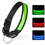 TENXSNUG Leuchthalsband Hund USB Aufladbar, Einstellbares LED Hundehalsband Leuchtend mit 3 Leuchtmodi für Kleine, Mittlere und Große Hunde, die Nachts Sicher Spazieren Gehen - Grün - S