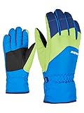 Ziener Kinder Lando Glove junior Ski-Handschuhe/Wintersport, persian blue, 7,5