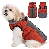 Savlot Hundemäntel für Kaltes Wetter Gemütliche Winddichte Winter-Hundejacke Dick Gepolsterte Warme Weste mit Geschirr für Welpen Kleine Mittelgroße und Große Hunde (M, Rot)