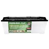 Terra Exotica Fauna Box Flat Transportbox für Reptilien, Amphibien, Insekten, Mäuse - Zuchtbox für Heimchen und Grillen - Faunarium (Large - 45x30x17 cm)