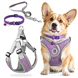 3 Stück Hundegeschirr und Leine Set, Verstellbares Brustgeschirr, Reflektierendes atmungsaktives Hundegeschirr mit D-Ring, Hundegeschirrs Set für Welpen, Kleine Hunde